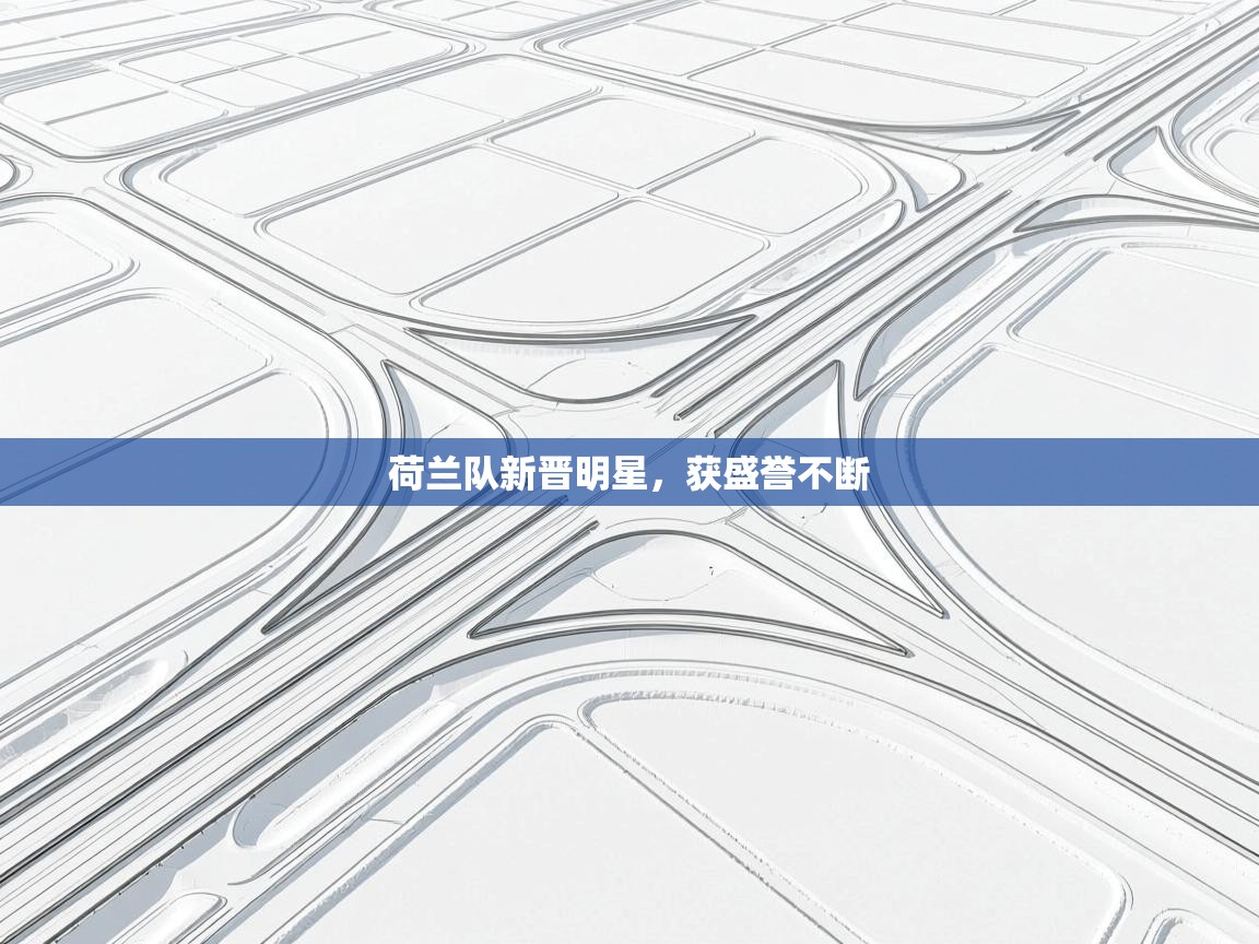 荷兰队新晋明星，获盛誉不断