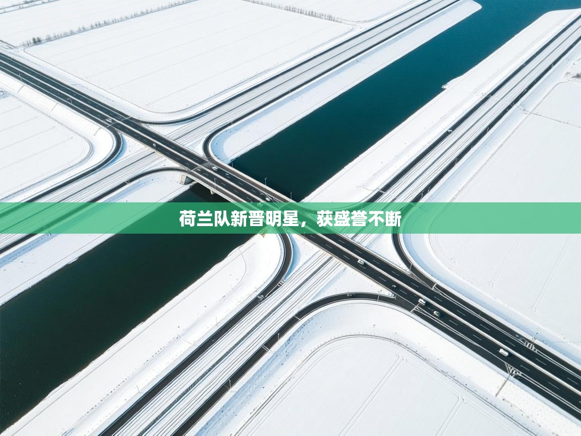 荷兰队新晋明星,获盛誉不断 第2张