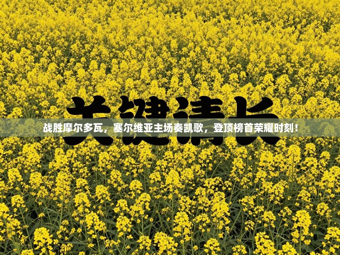 战胜摩尔多瓦，塞尔维亚主场奏凯歌，登顶榜首荣耀时刻！