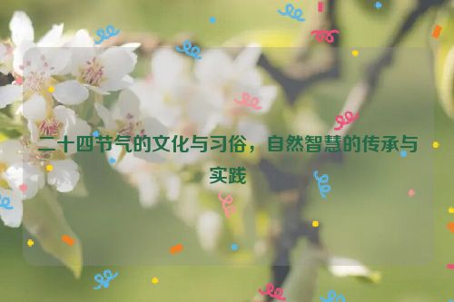 二十四节气的文化与习俗，自然智慧的传承与实践