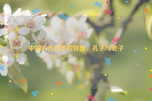 中国古代哲学的智慧，孔子与老子