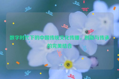 数字时代下的中国传统文化传播，创新与传承的完美结合